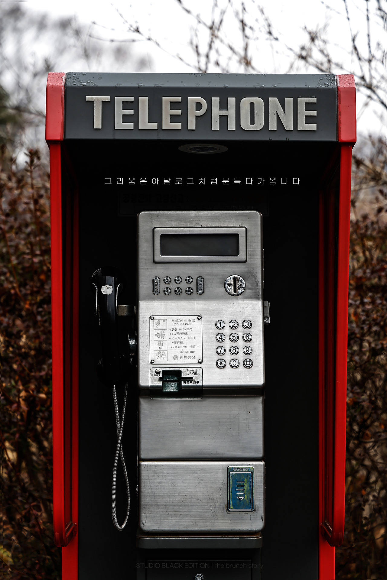 THE BRUNCH STORY 869.jpg