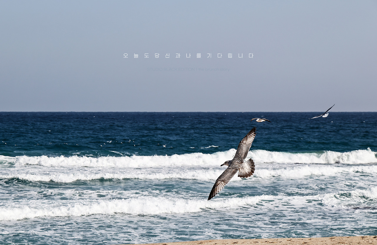 THE BRUNCH STORY 897.jpg