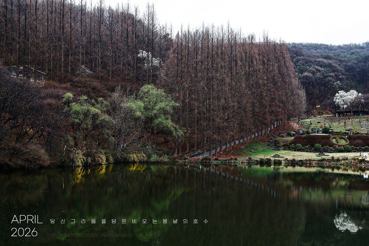 THE BRUNCH STORY 907.jpg