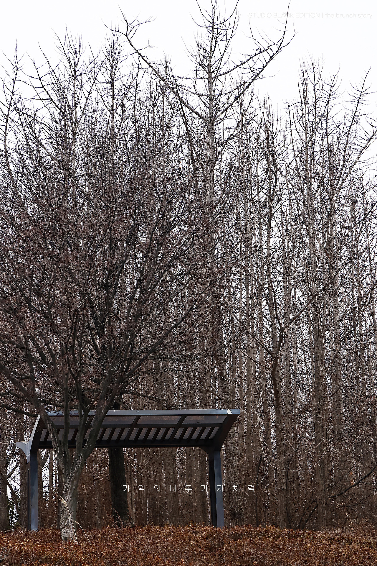 THE BRUNCH STORY 891.jpg