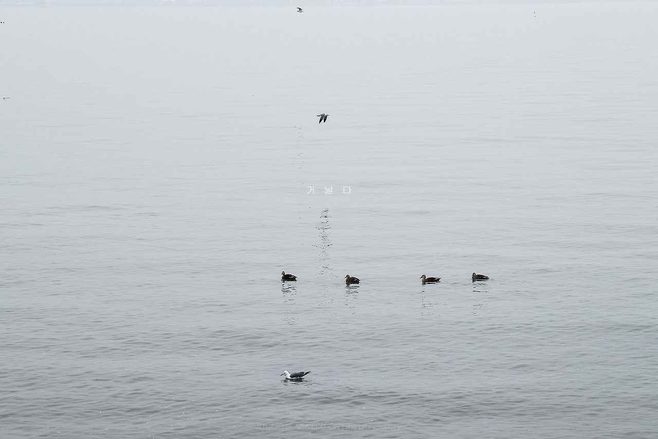 THE BRUNCH STORY 858.jpg