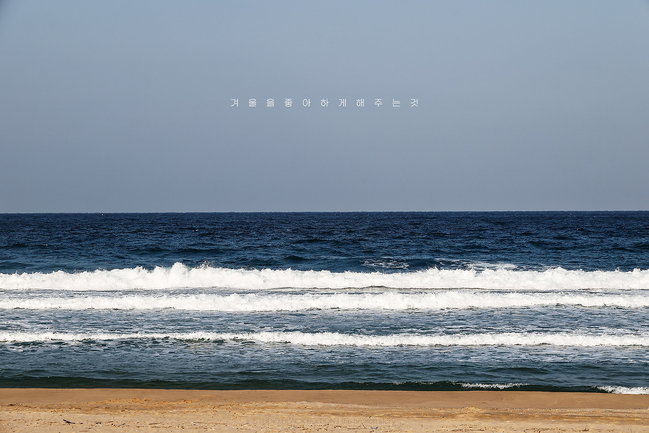 THE BRUNCH STORY 848.jpg