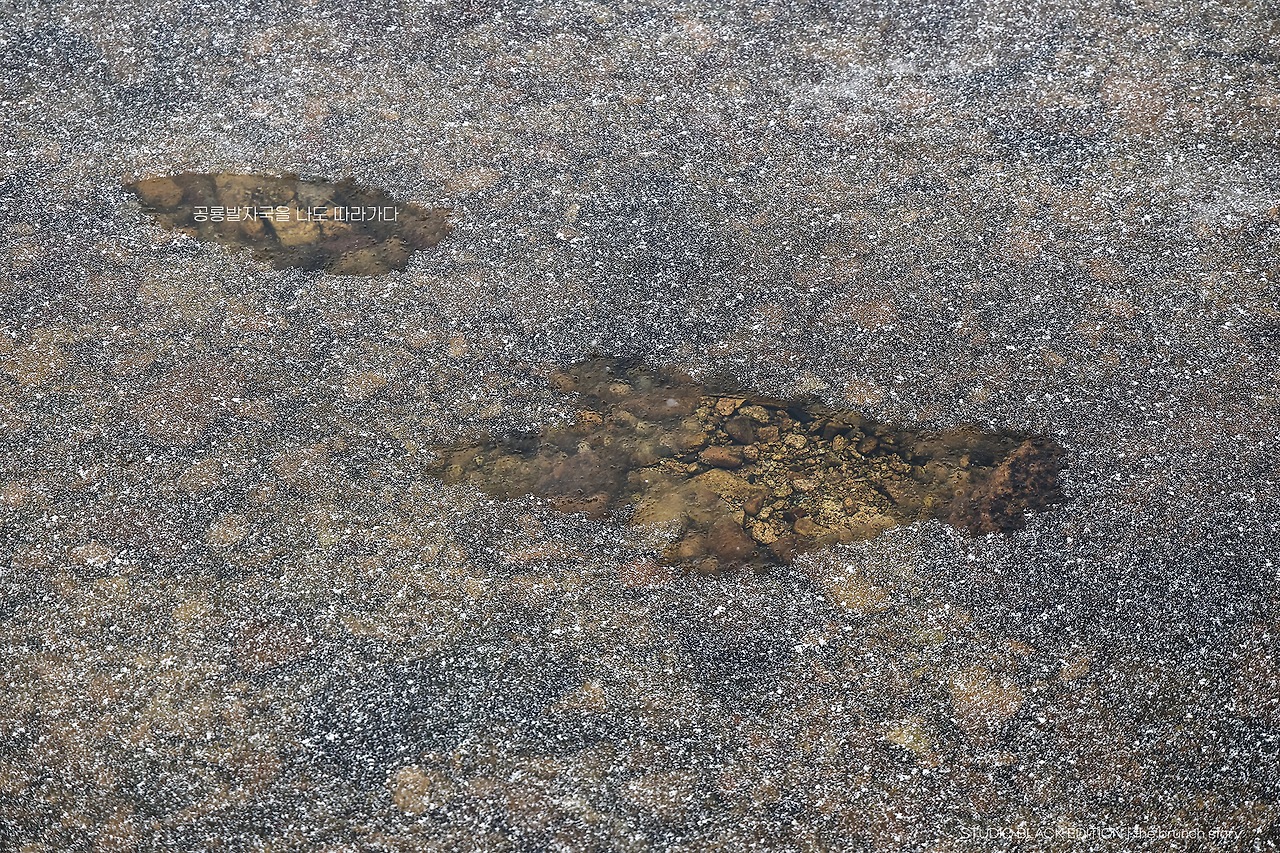 THE BRUNCH STORY 838.jpg