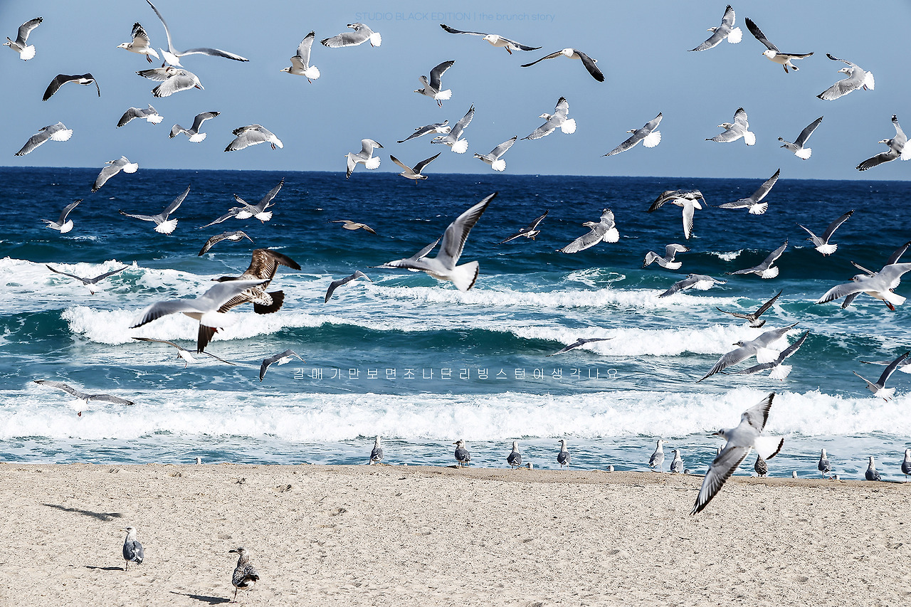 THE BRUNCH STORY 833.jpg