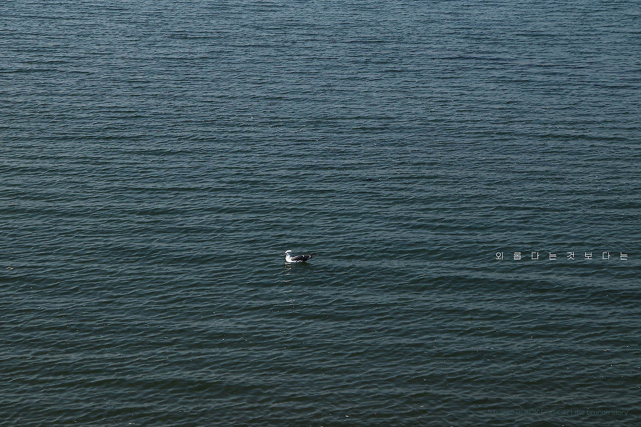 THE BRUNCH STORY 880.jpg