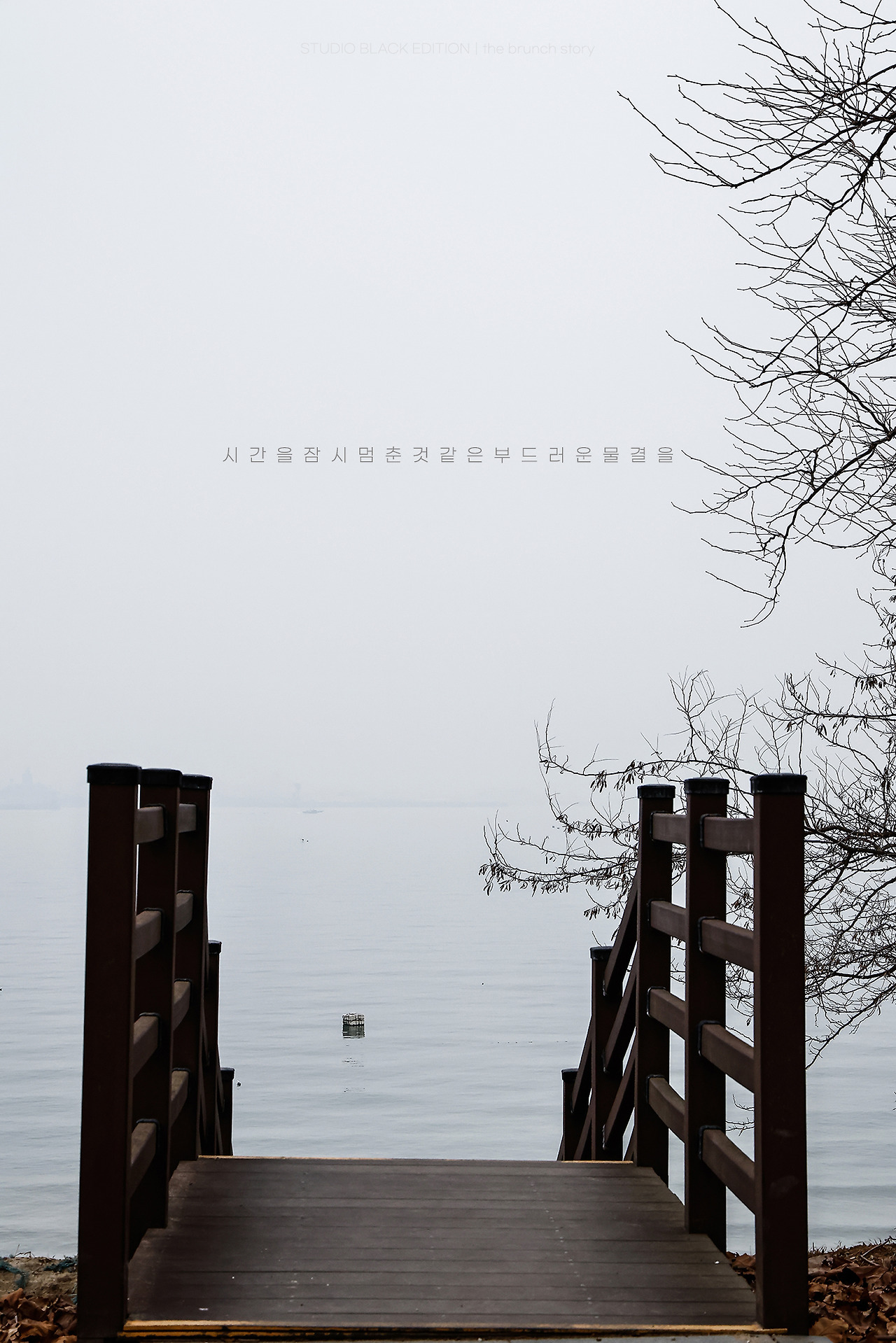 THE BRUNCH STORY 878.jpg