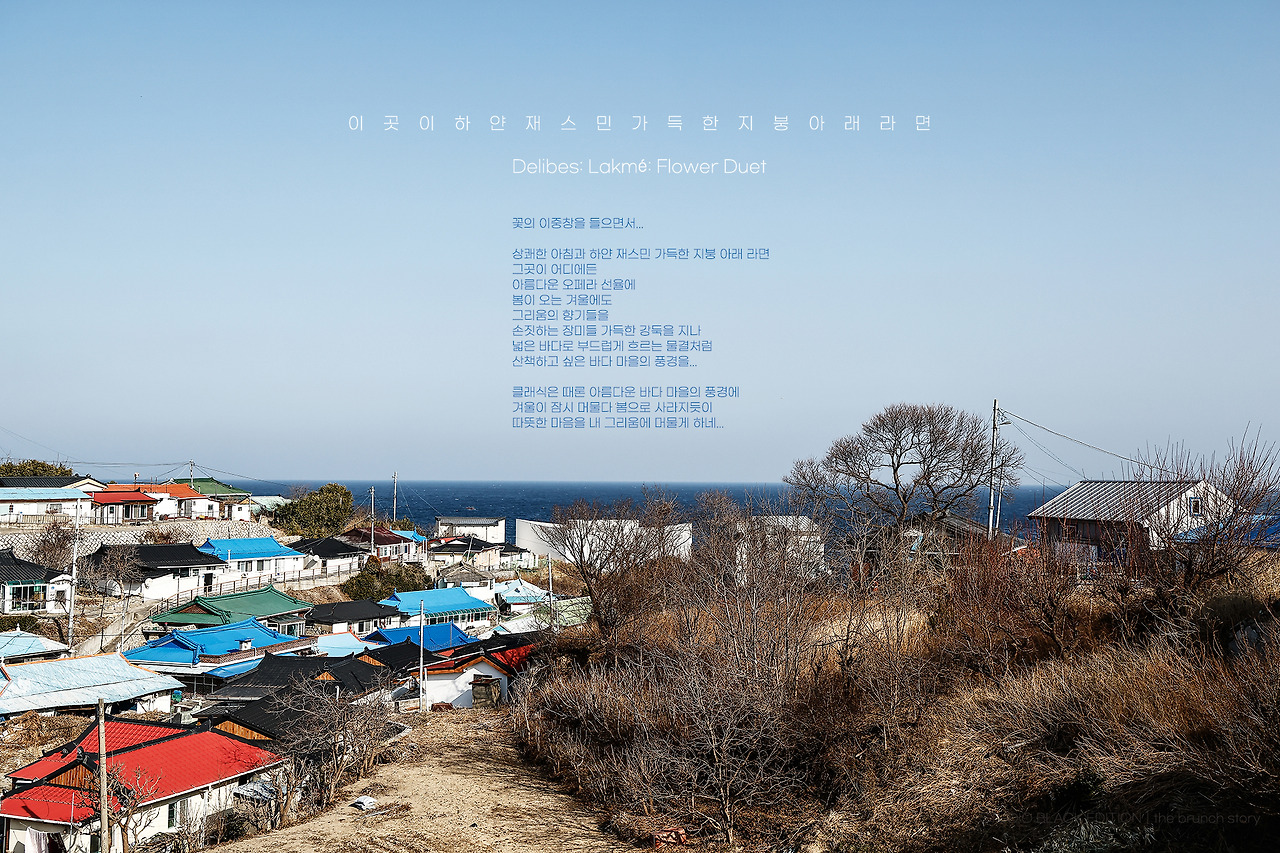 THE BRUNCH STORY 850.jpg