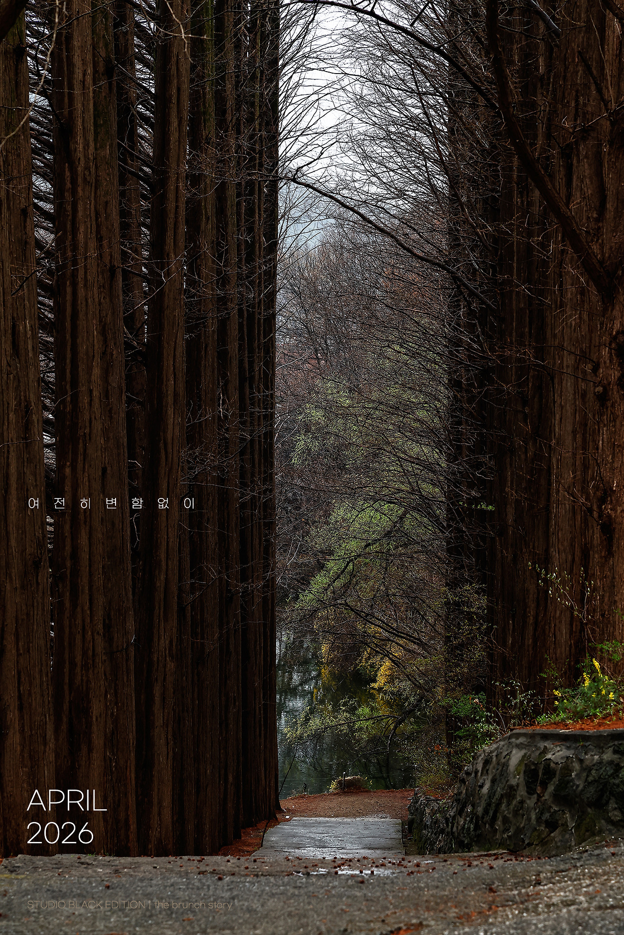 THE BRUNCH STORY 905.jpg