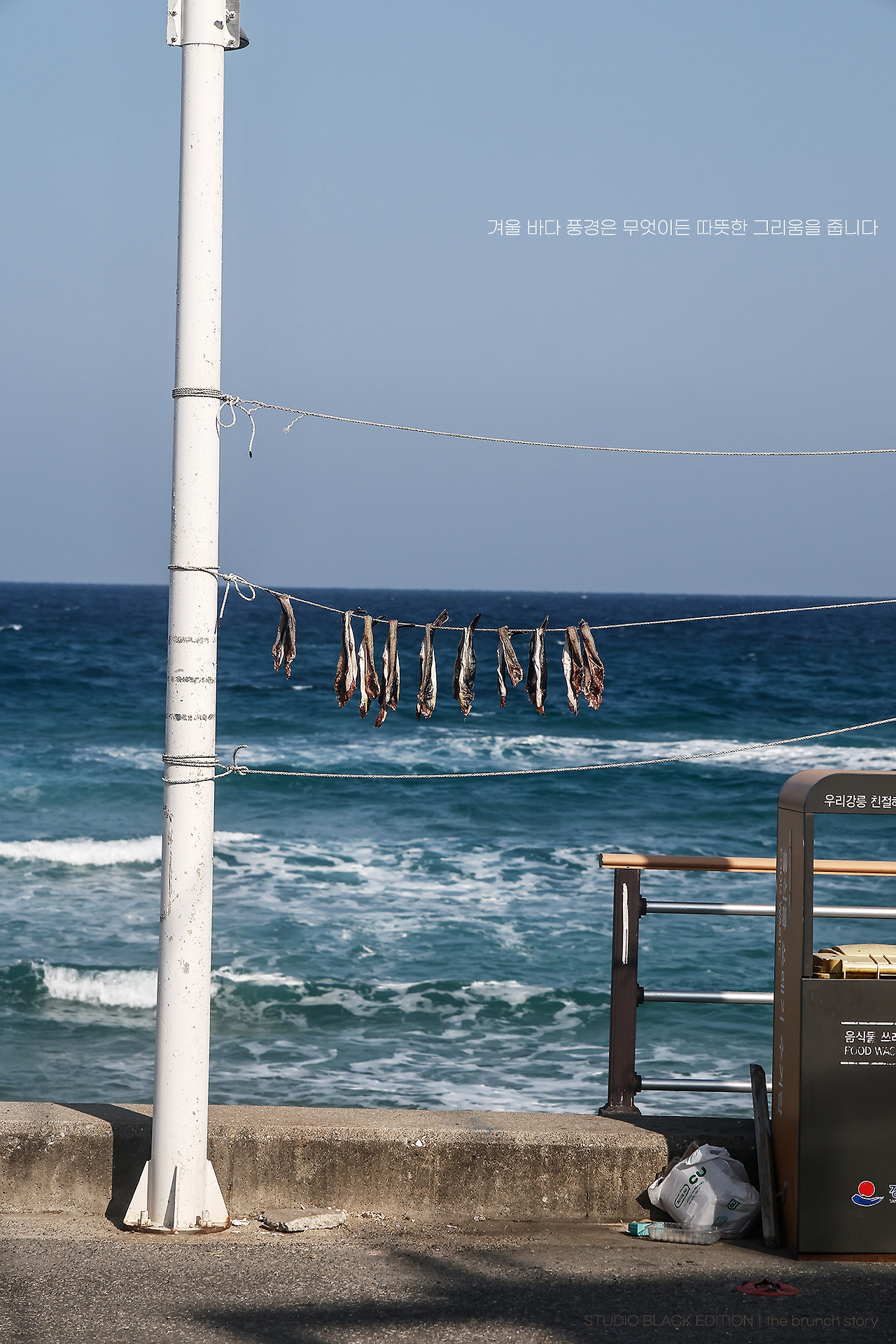 THE BRUNCH STORY 840.jpg