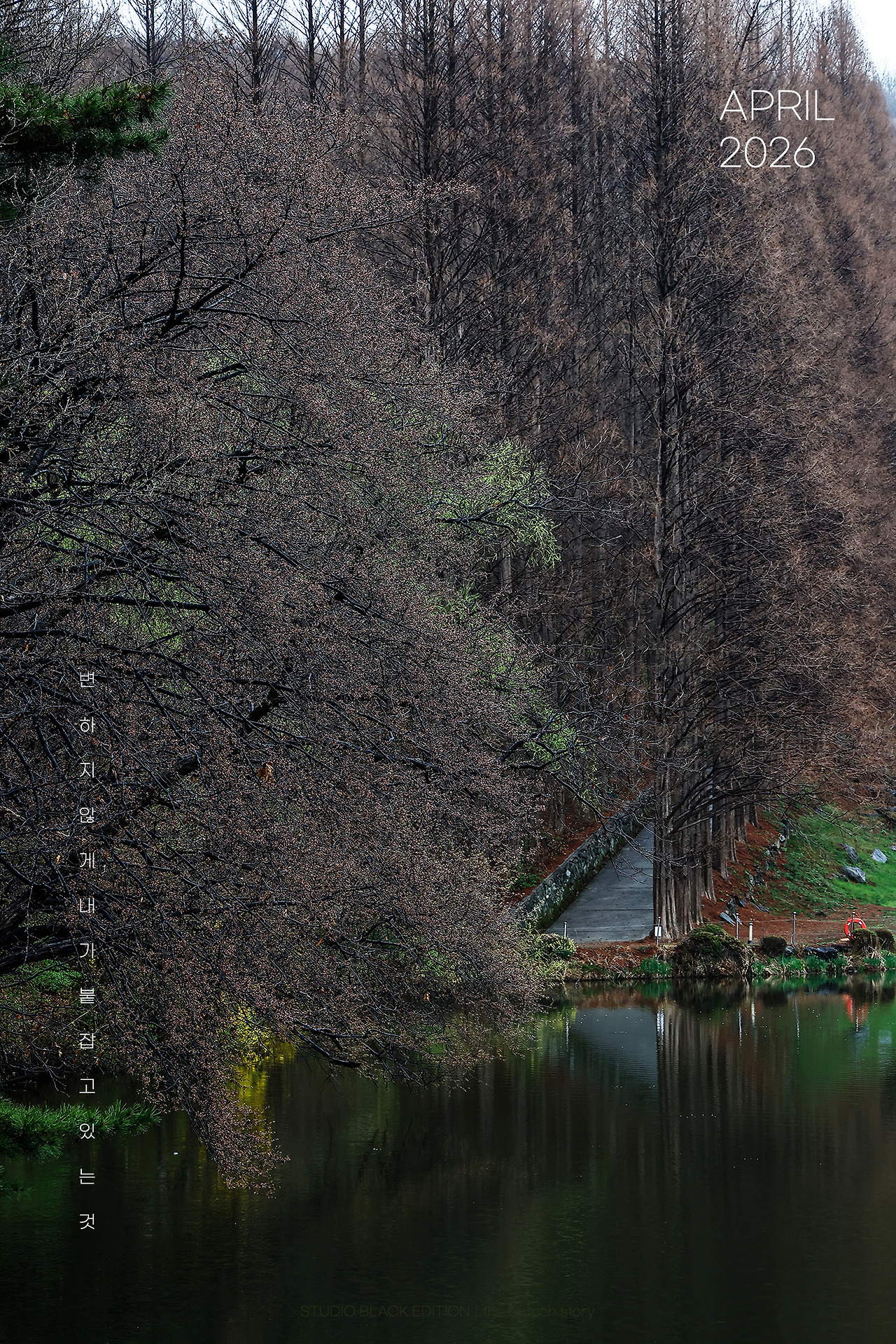 THE BRUNCH STORY 906.jpg