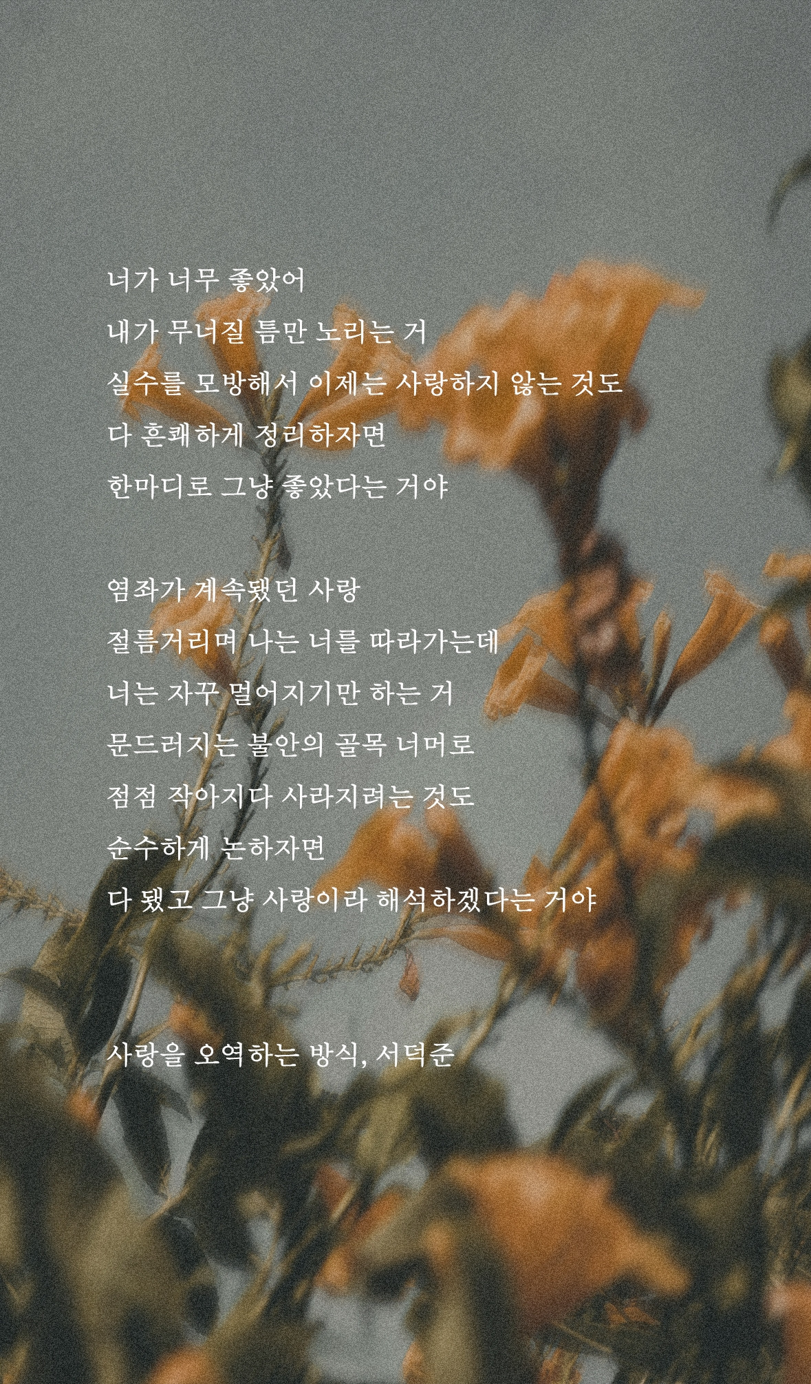 사랑을 오역하는 방식2.jpg