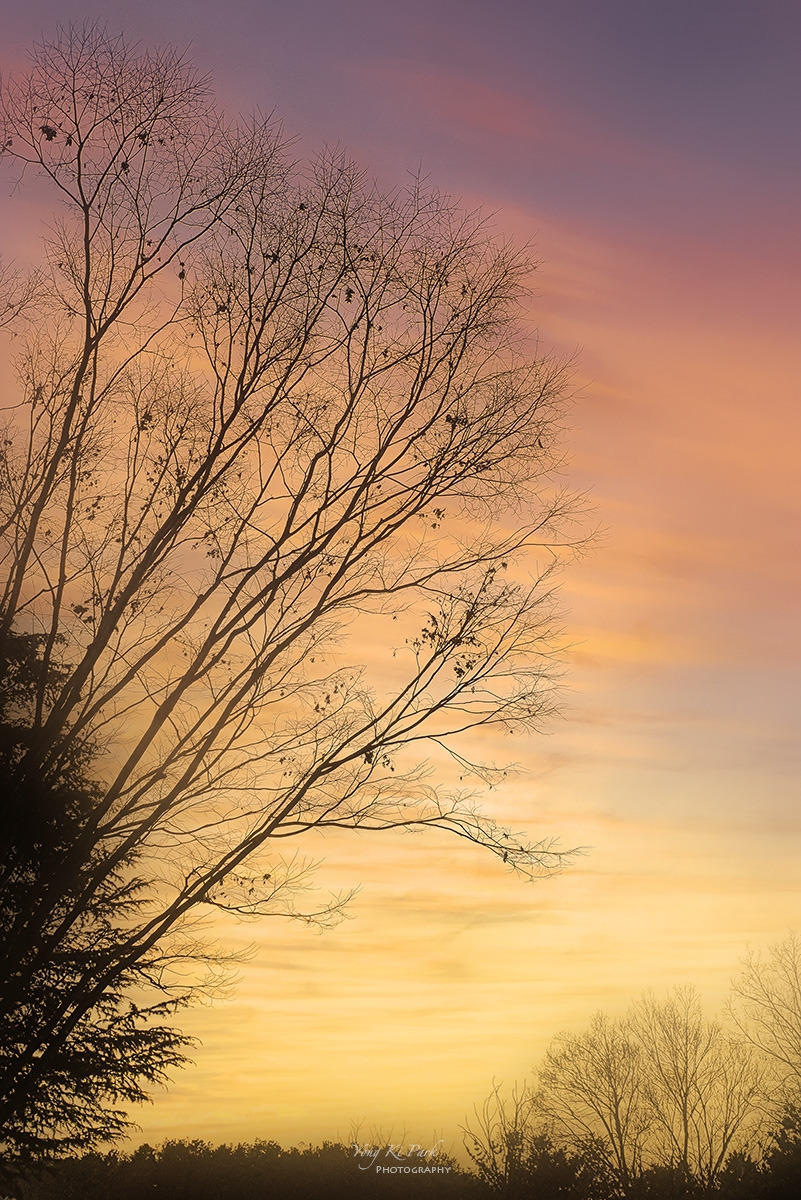 갤S9-2022-01-28-21-48-56 001-m-s.jpg