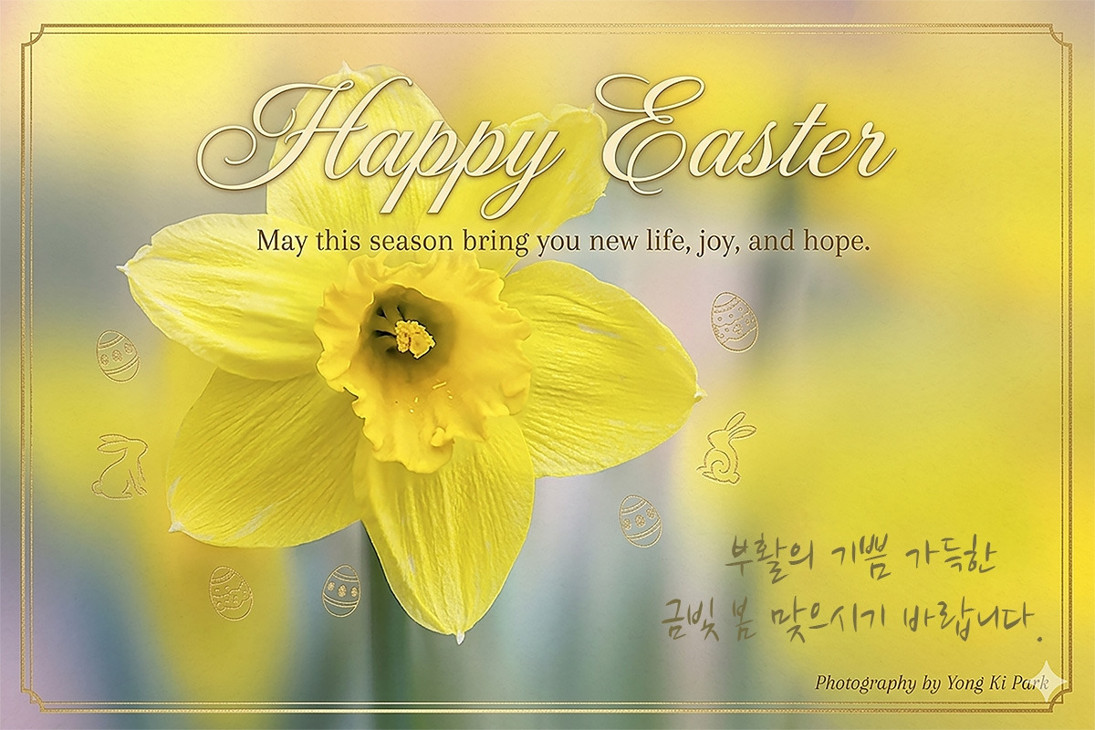 Gemini_Generated_Image_부활절카드 복사.jpg