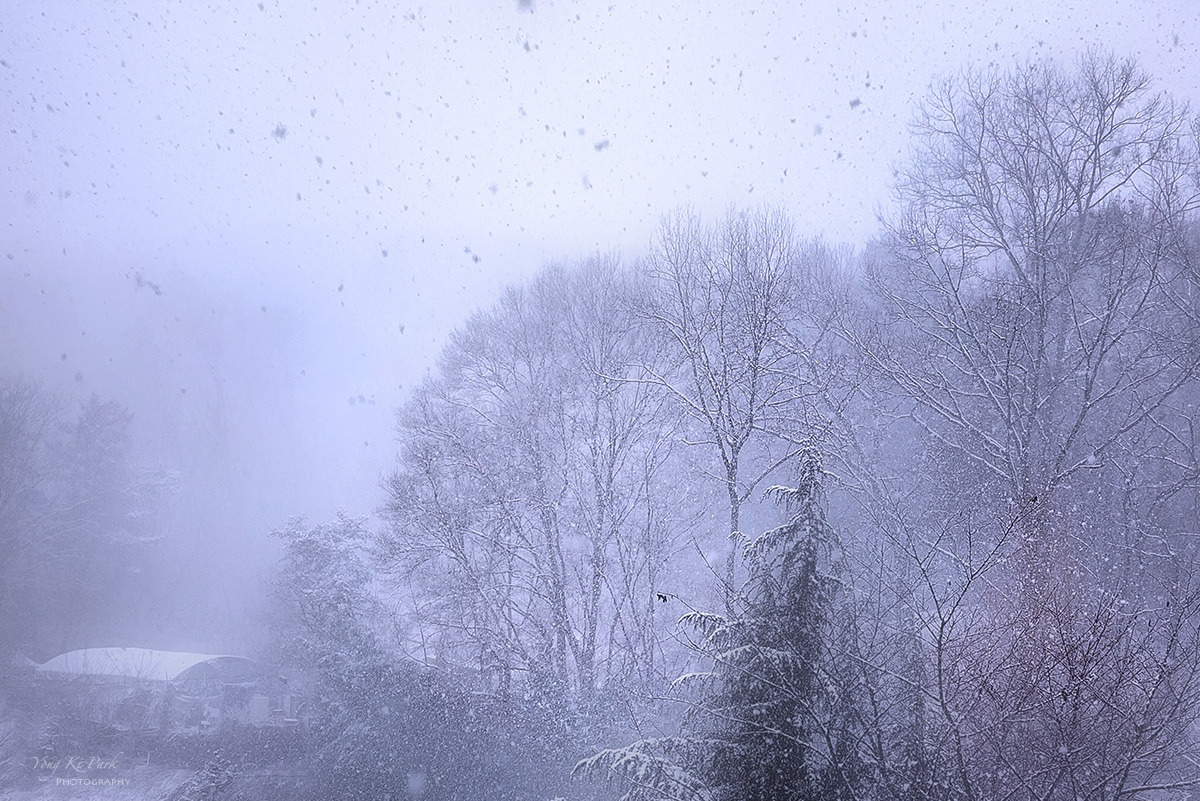 20260202_103604-F-s-Winter reflections-18.jpg