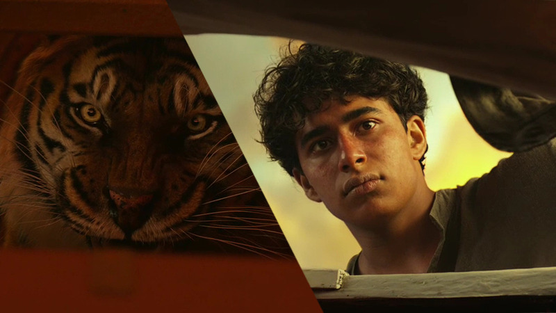 Life of Pi_17.jpg