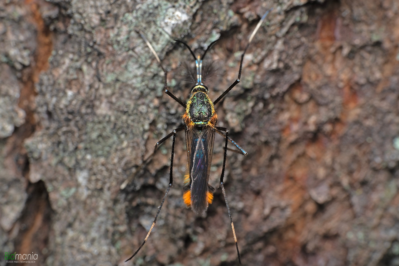 GJH_9880 201807 강릉.jpg