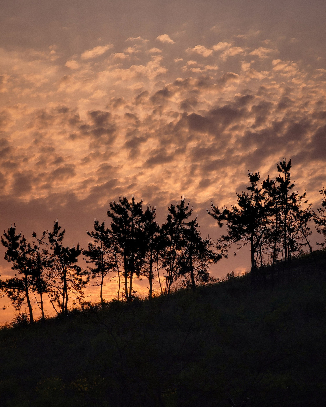 사진지문_아침형 인간 45.jpg