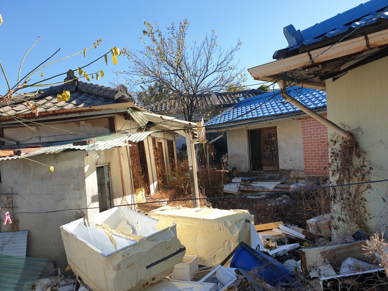 20211112＿134022 (1).jpg