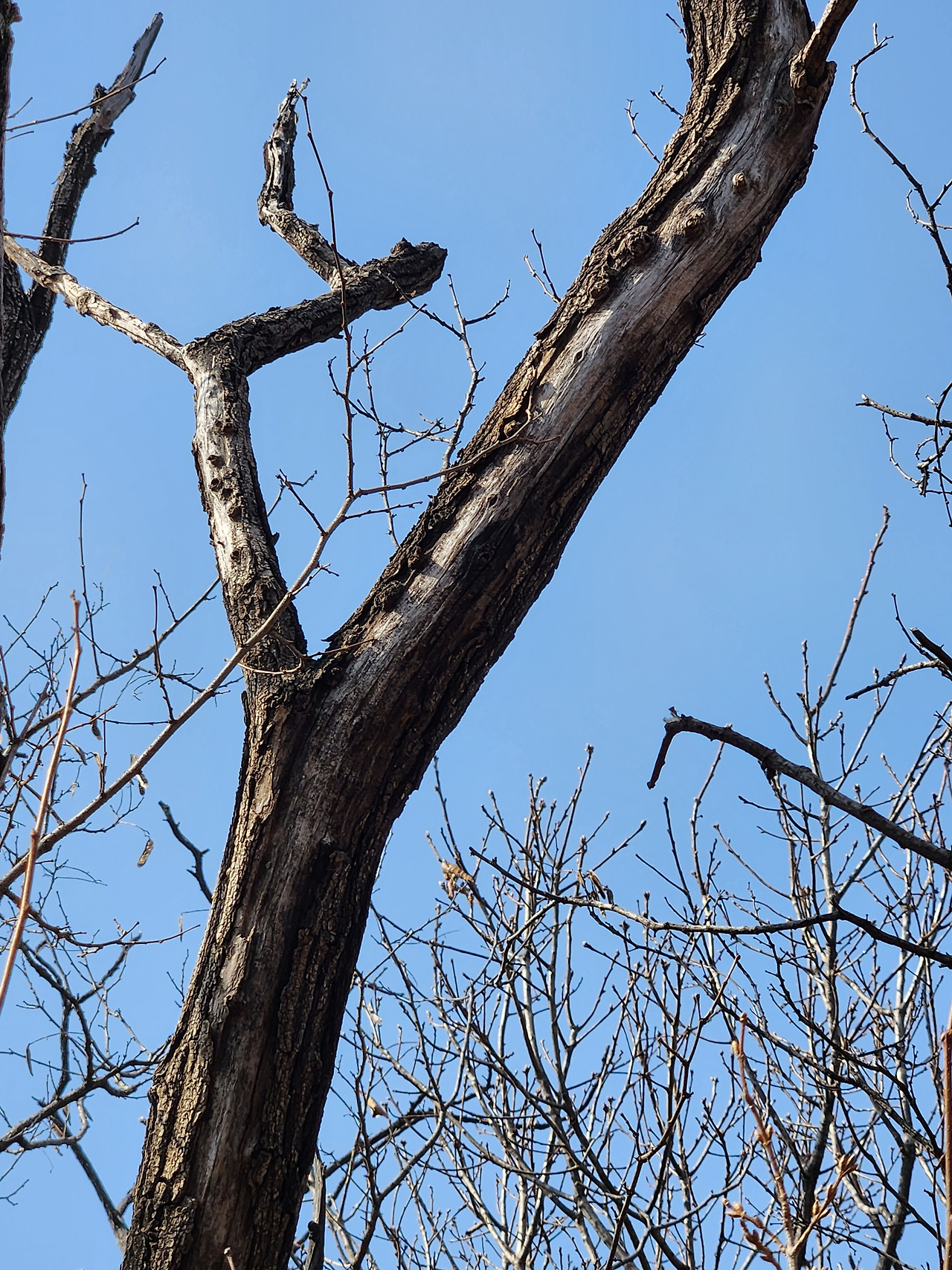 20260221_123203 (1).jpg