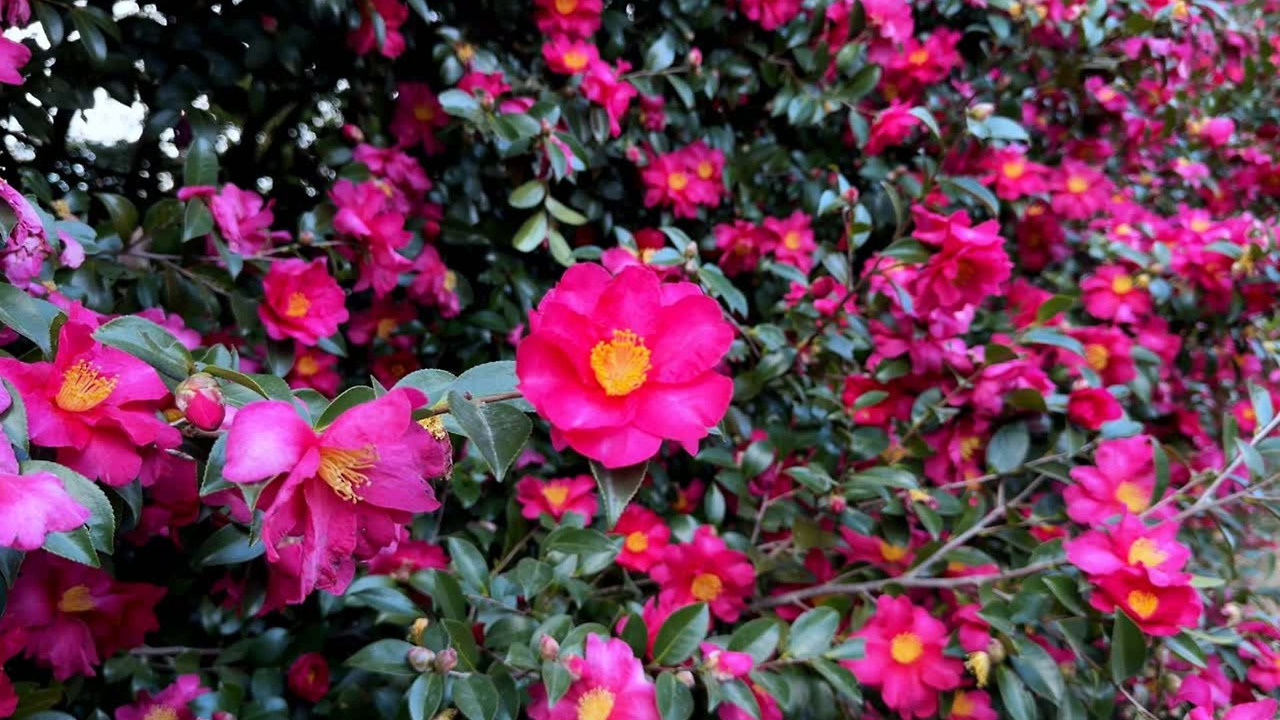 제목 없는 디자인.jpg