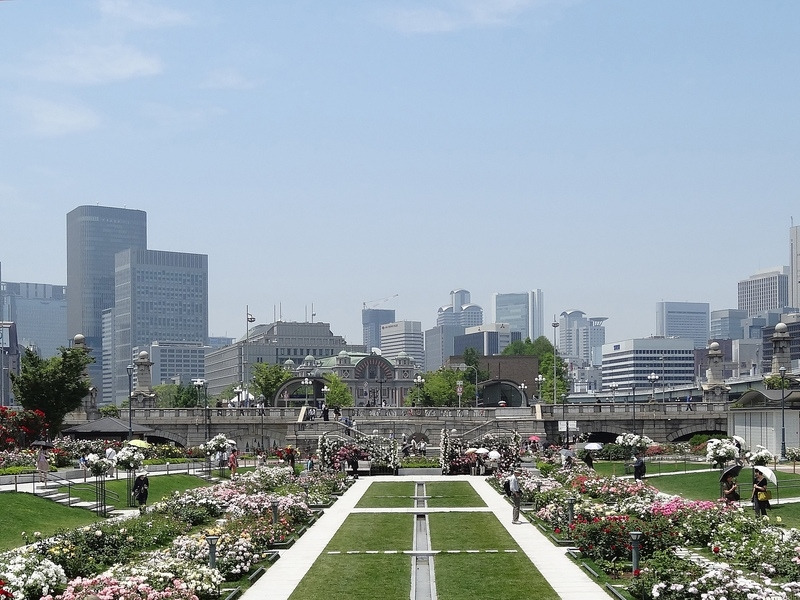 나카노시마 장미정원 2.jpg