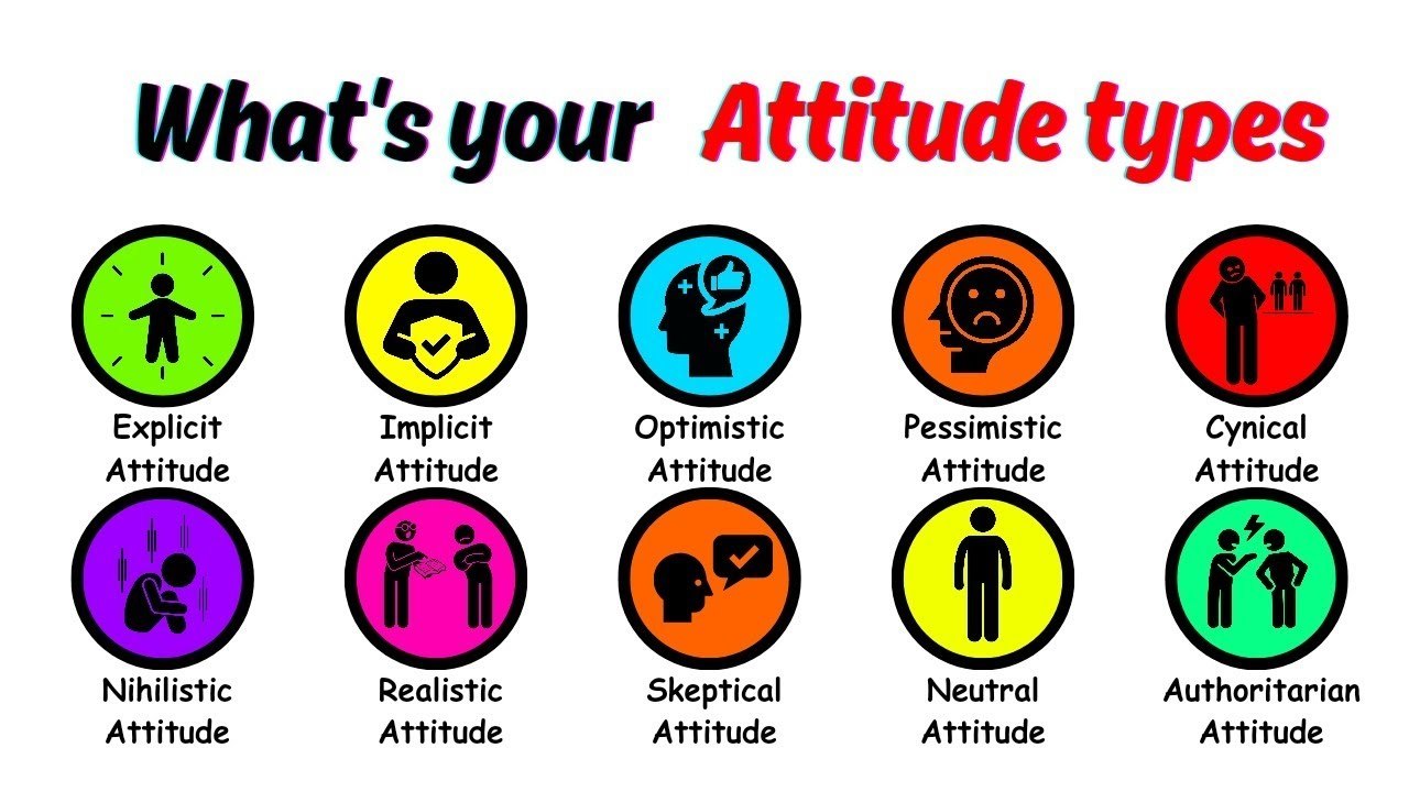 maxresdefault (4).jpg