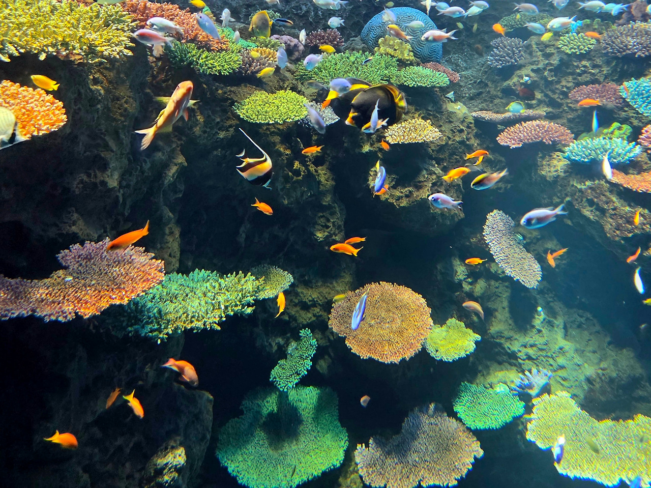 20260423_103947.jpg