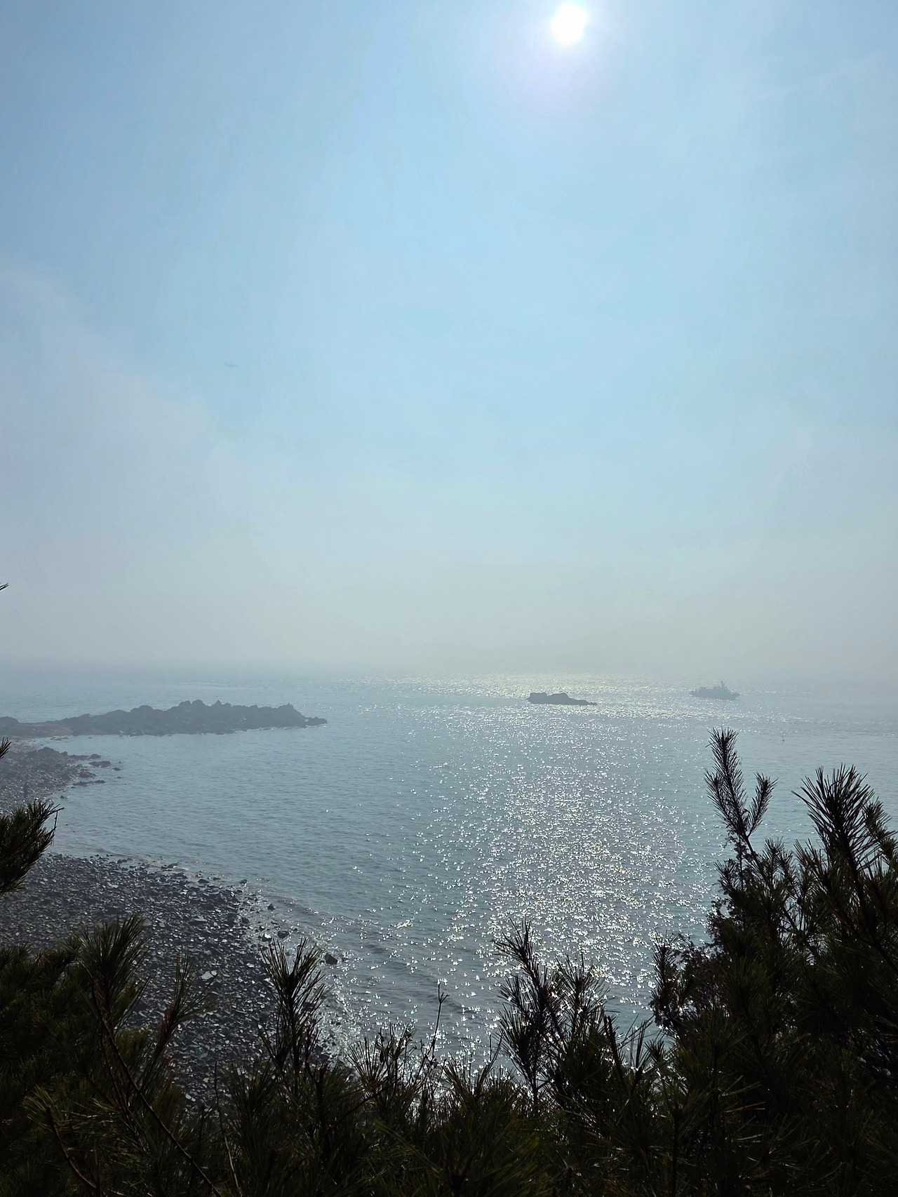 20260321_093249 - 복사본.jpg