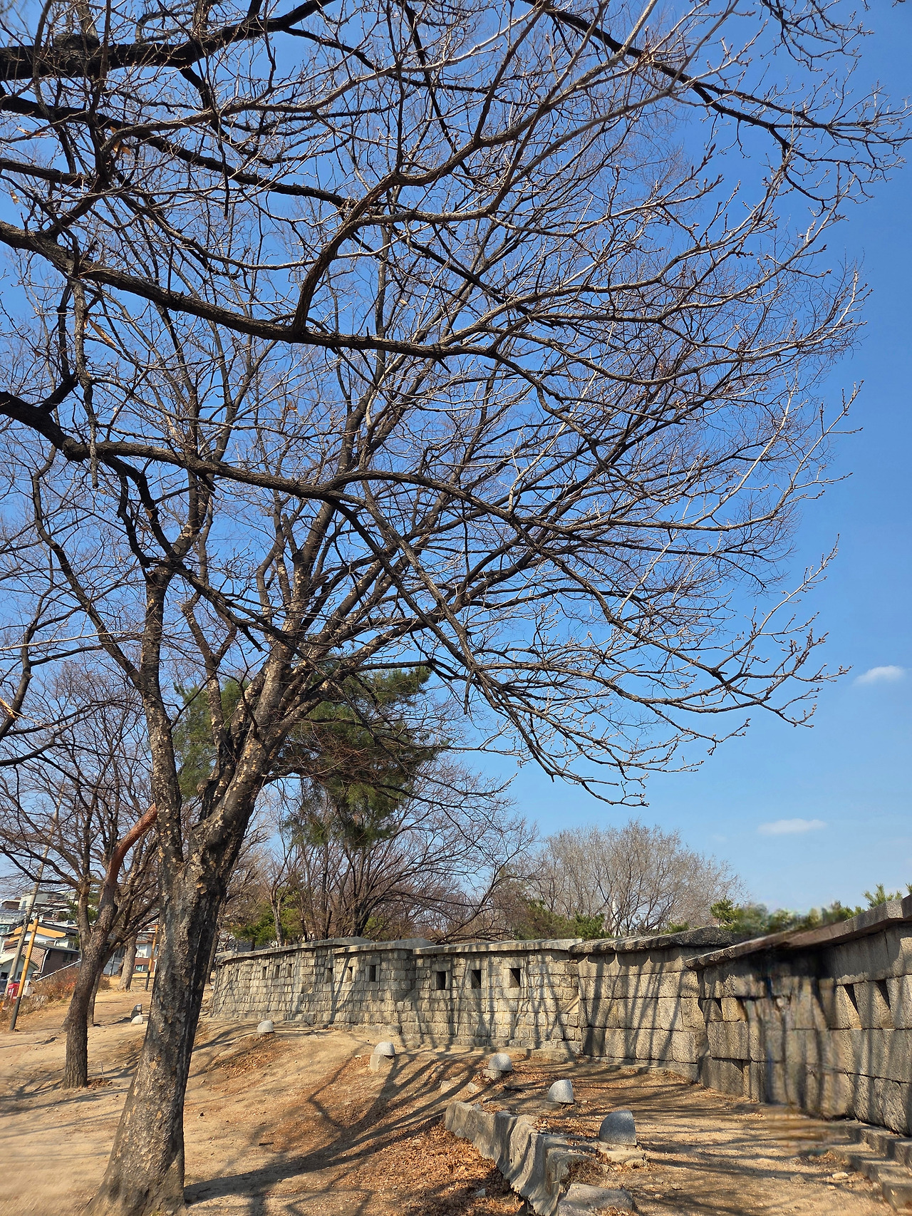 20260310_141111 (1).jpg