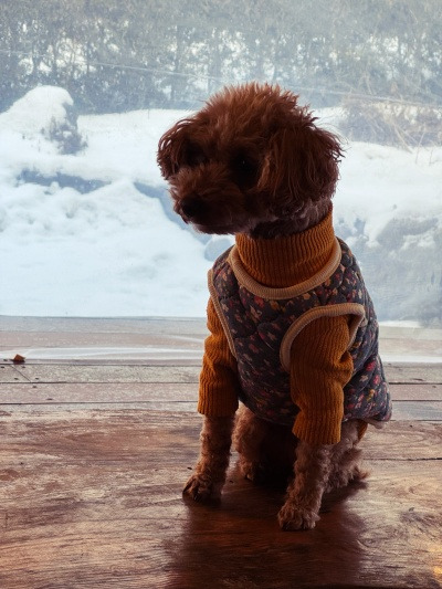 20260213그, 나이라는 게 말입니다.jpg