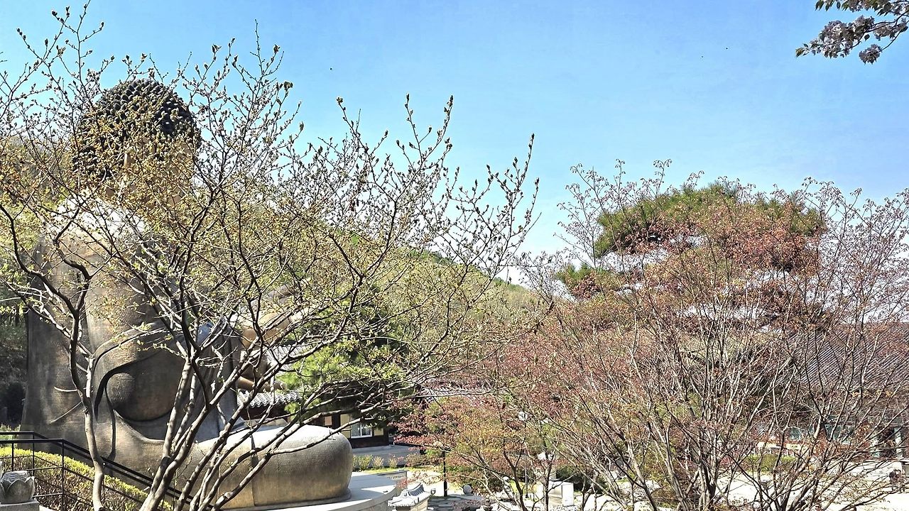 심학산 둘레.jpg