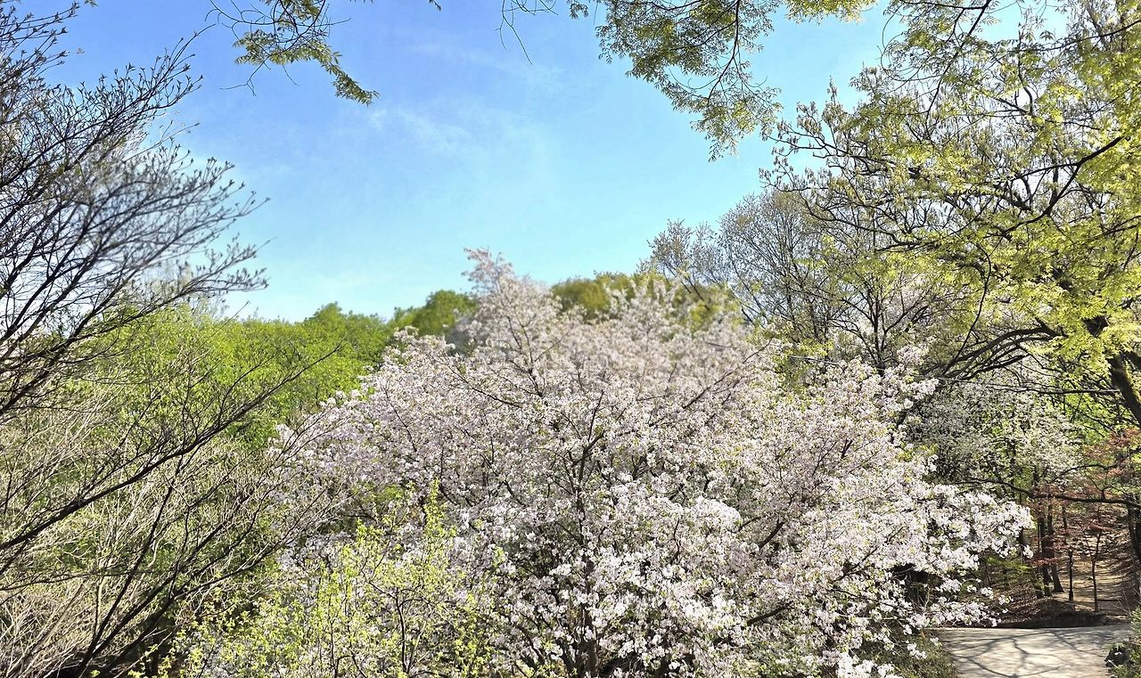 심학산 둘레길1.jpg