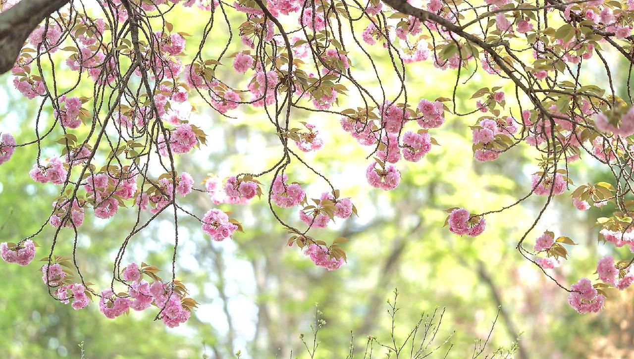 심학산 둘레길3.jpg