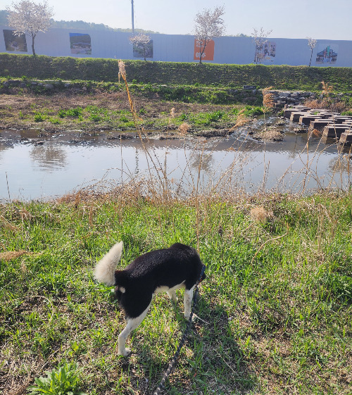 KakaoTalk_20260412_203311662.jpg