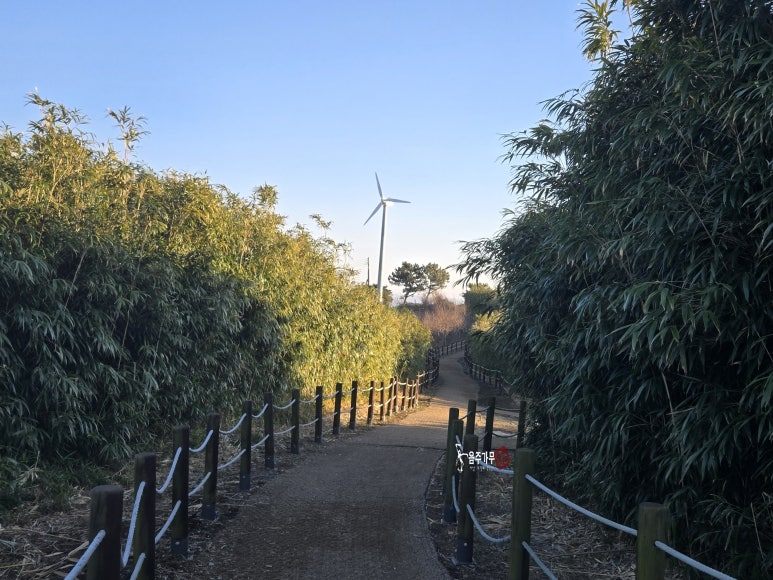 꾸미기20250117_161618 (1).jpg