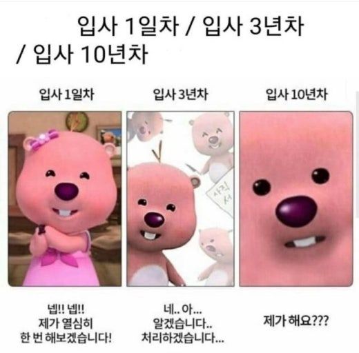 다운로드 (1).jpg