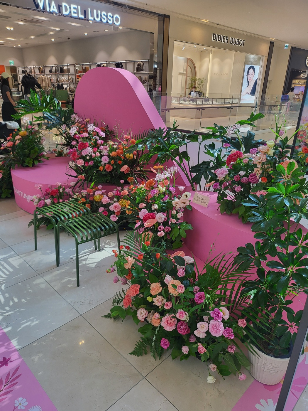 장미꽃 덩굴.jpg