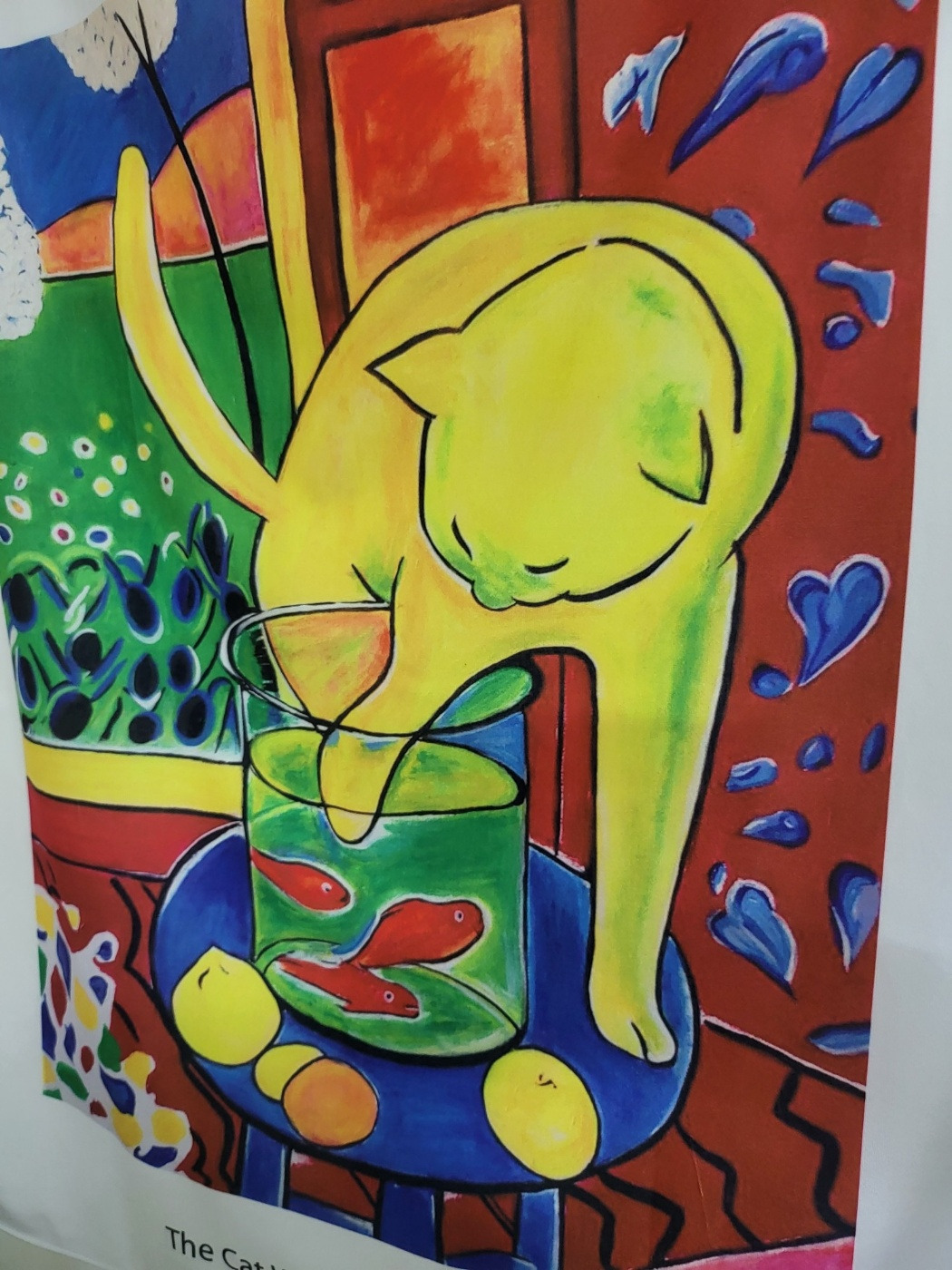 고양이와 금붕어.jpg