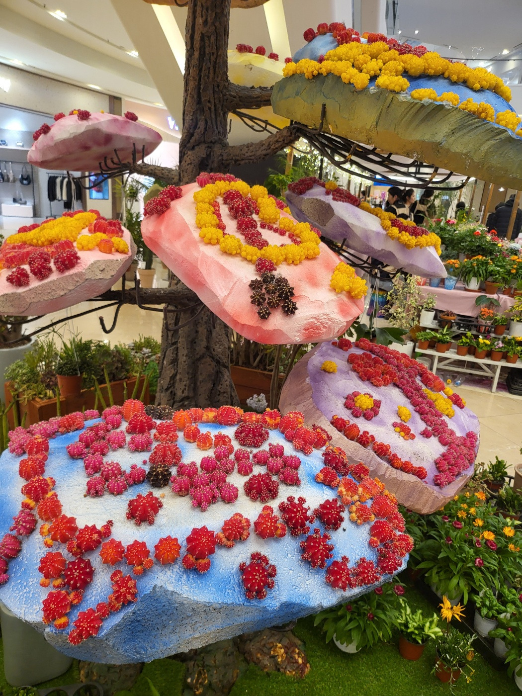 스타필드 다육이 장식.jpg