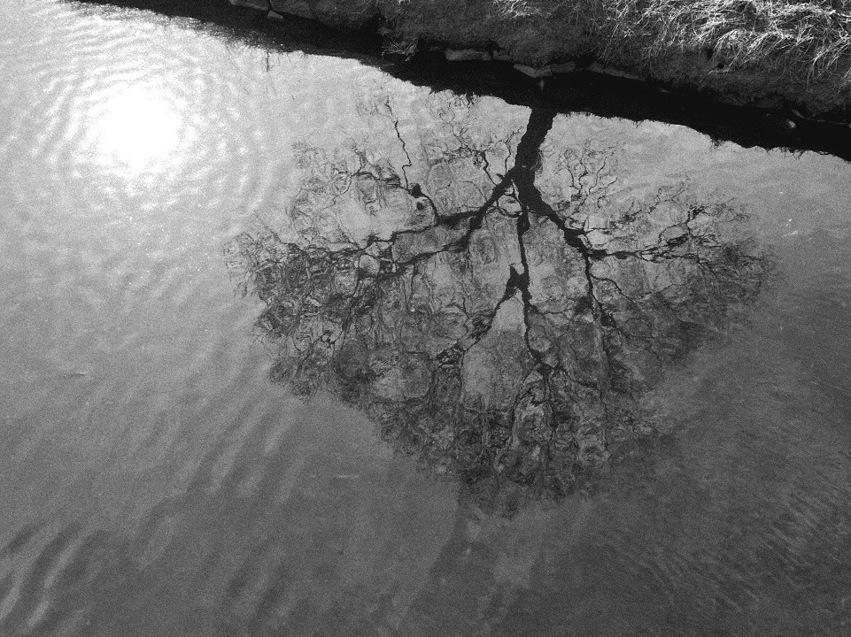 브런치 마디 문장이 없던 자리에 무단사용금지.jpg