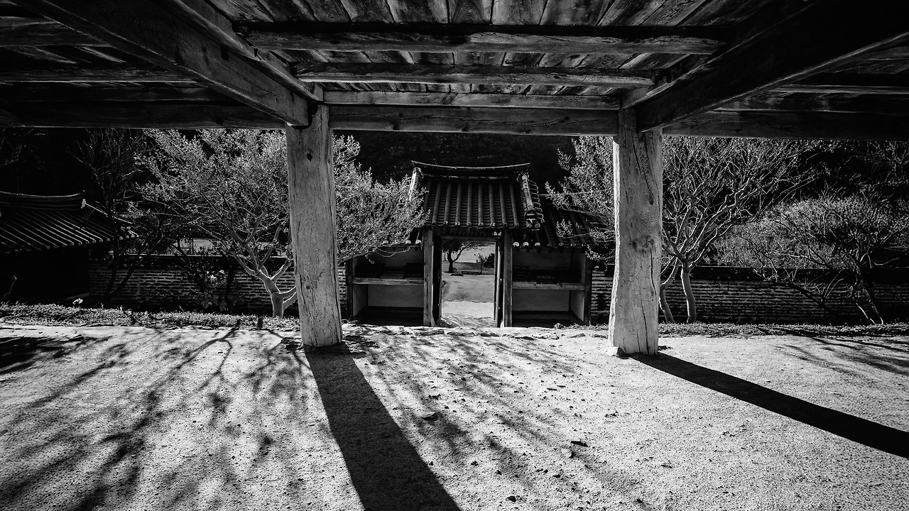 DSCF0701 복사 복사G.jpg