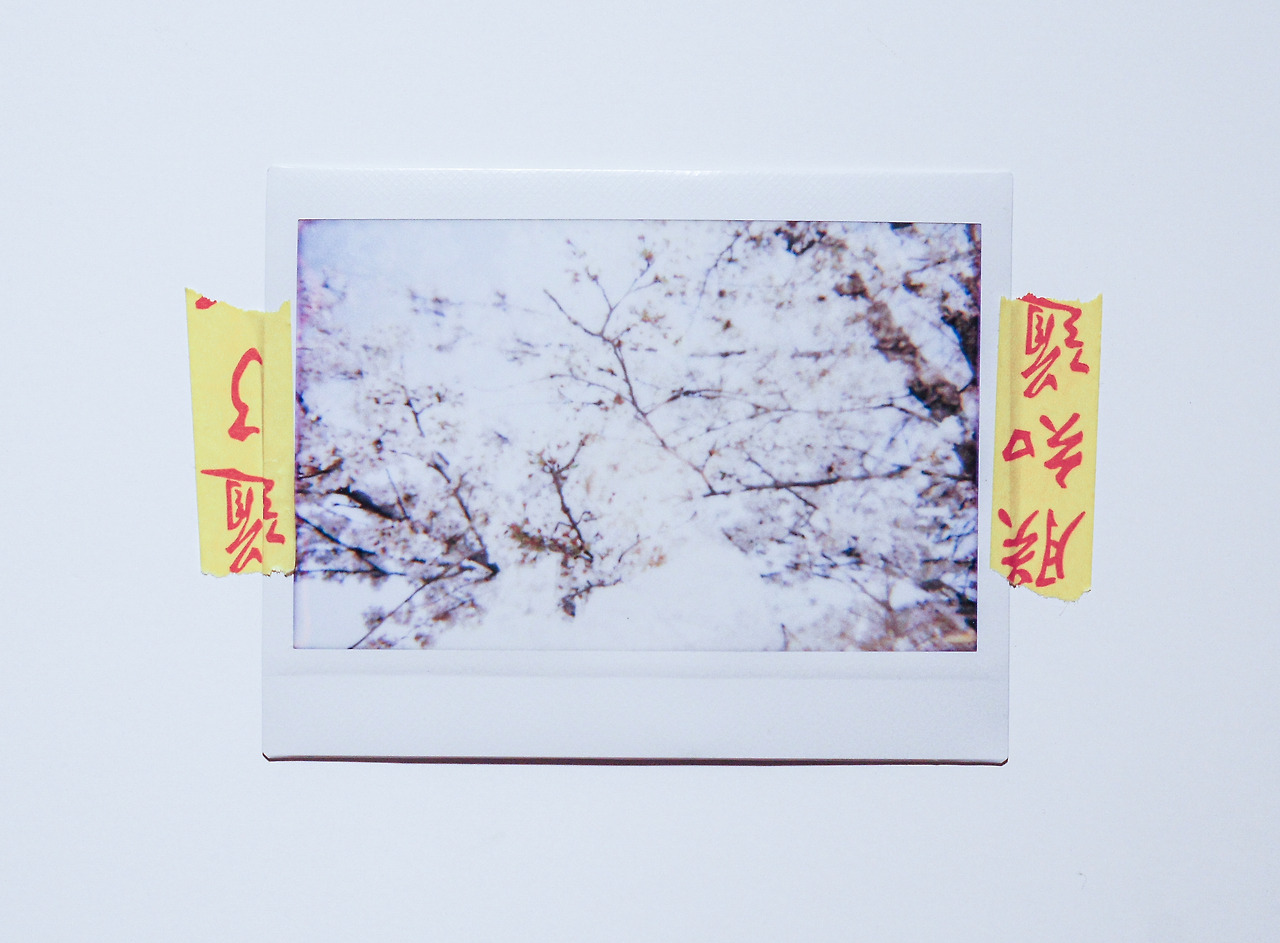 IMG_2380 복사.jpg