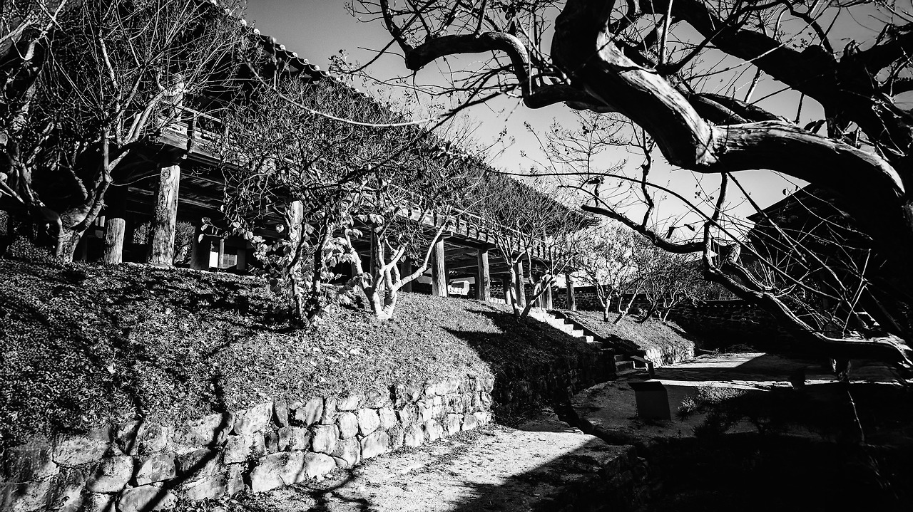 DSCF0729 복사 복사G.jpg