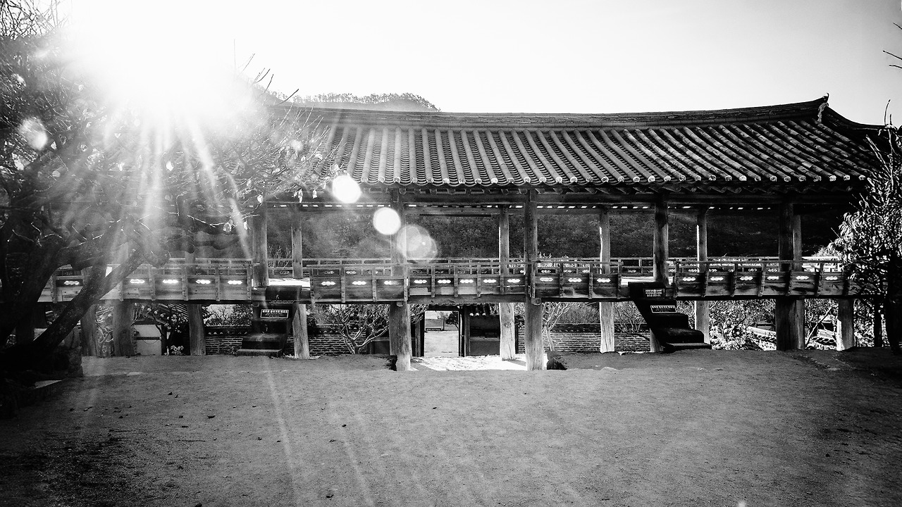 DSCF0692 복사 복사G.jpg