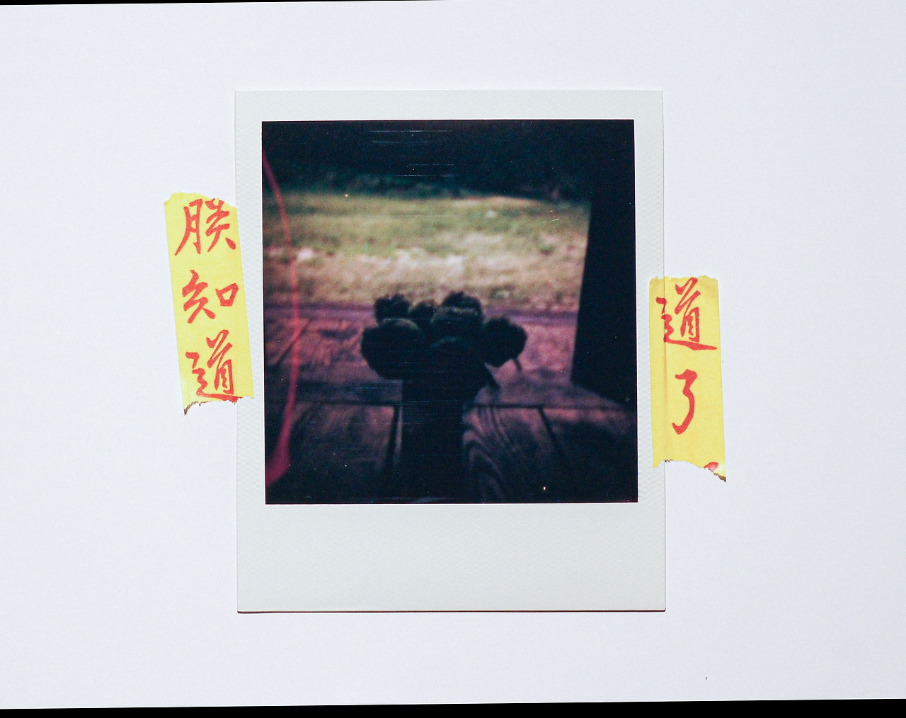 IMG_2376 복사.jpg