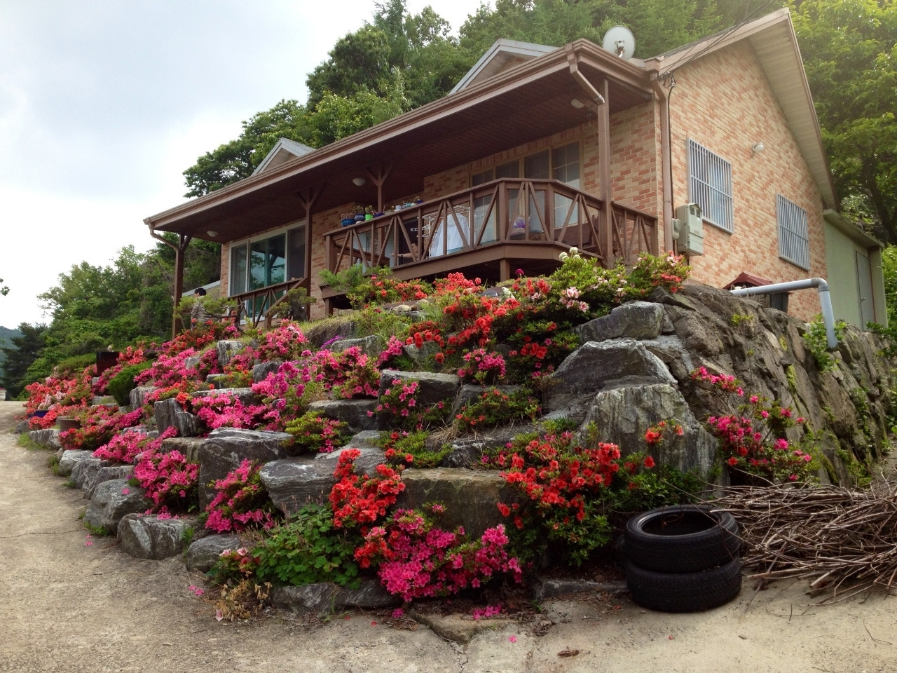 산골에 살다_사진_20260420_3.jpg