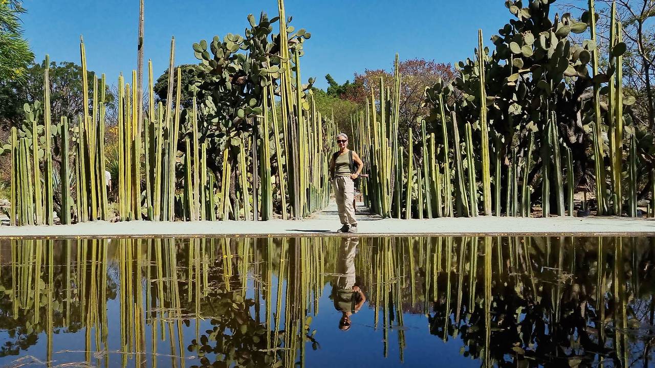 [꾸미기]20260213_110315 복사.jpg