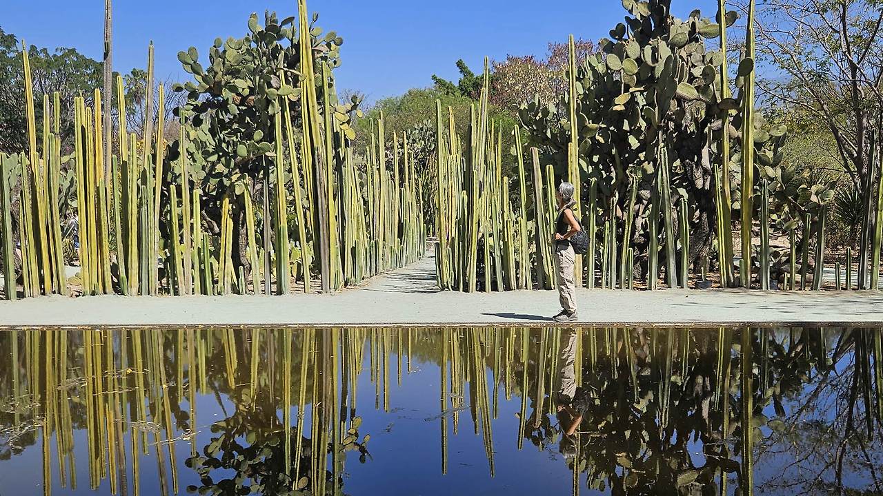 [꾸미기]20260213_110447 복사.jpg