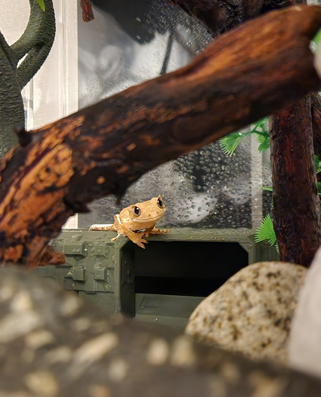 20260221_211656 (1).jpg