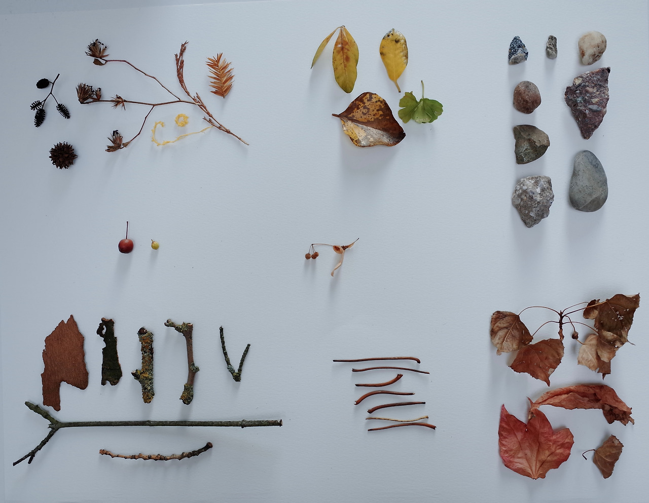 R0009120-1 (dragged) 2.jpg